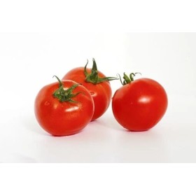 Tomate Saint Pierre