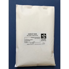 Haricot nain beurre Roi des beurres ou kinghorn 2