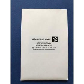 Laitue batavia Reine des glaces 2