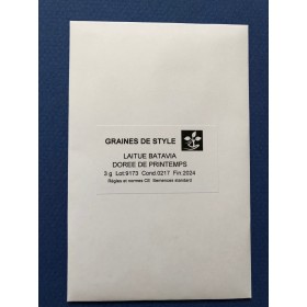 Laitue batavia Dorée de printemps 2